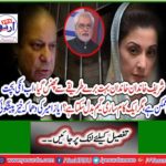 Explosive prediction of Ayesha Amir
