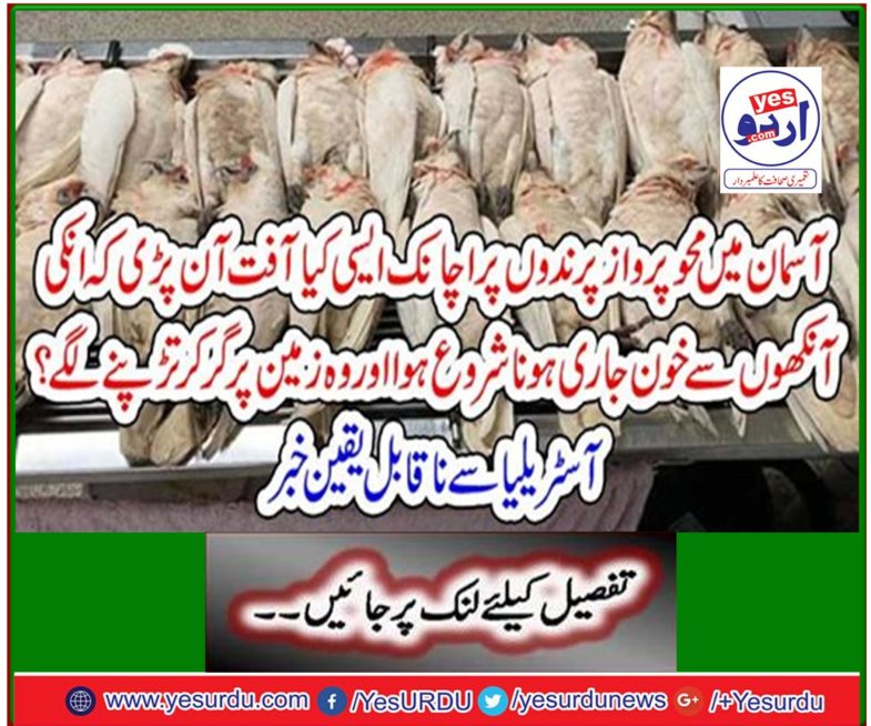 Incredible news from Australia