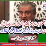 Incredible revelations by Foreign Minister Shah Mahmood Krishi