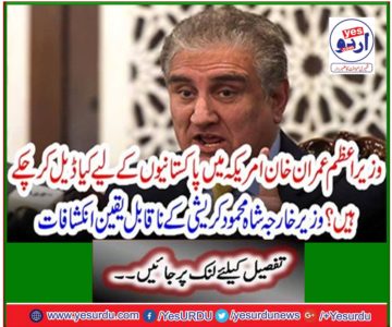 Incredible revelations by Foreign Minister Shah Mahmood Krishi