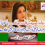 The well-known foreign blogger from Pakistan has given an incredible shock to Maryam Nawaz