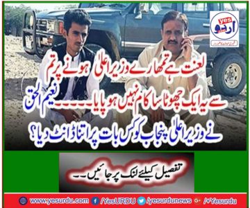 Naeem-ul-Haq scolded the Punjab Chief Minister so much?