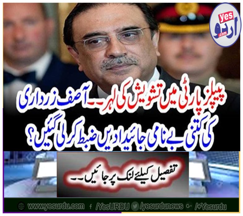 The wave of concern at the PPP ... How many unrealistic assets of Asif Zardari were confiscated?