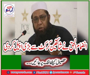 Inzamam-ul-Haq made huge appeal to fans