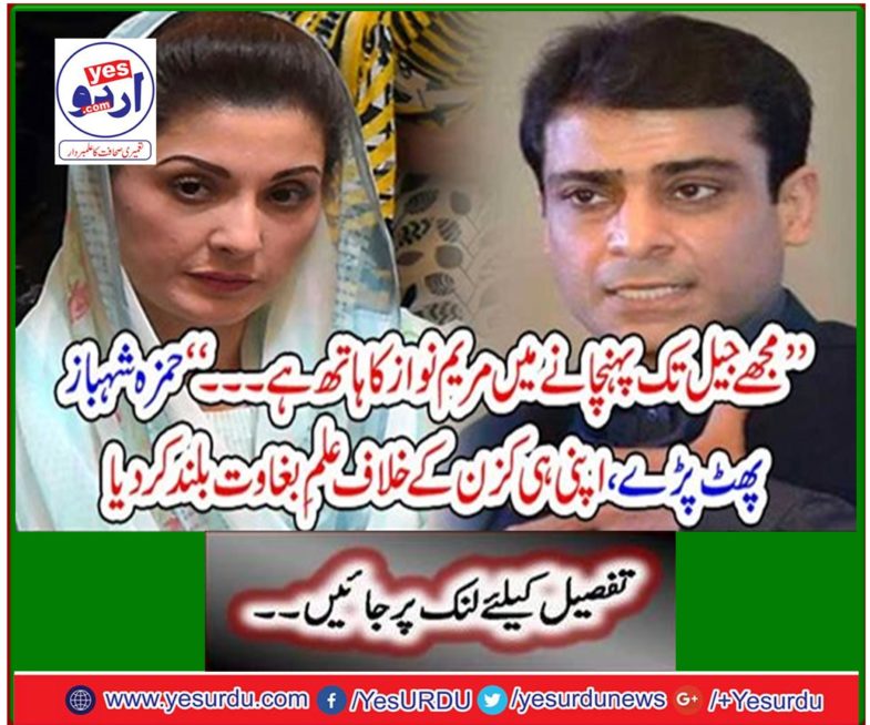 Hamza Shahbaz burst, raising a knowledge revolt against his own cousin