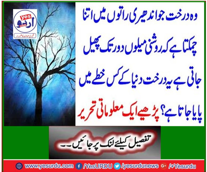 Read an informative post