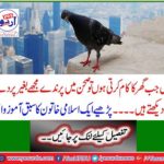 Read the lesson of an Islamic woman