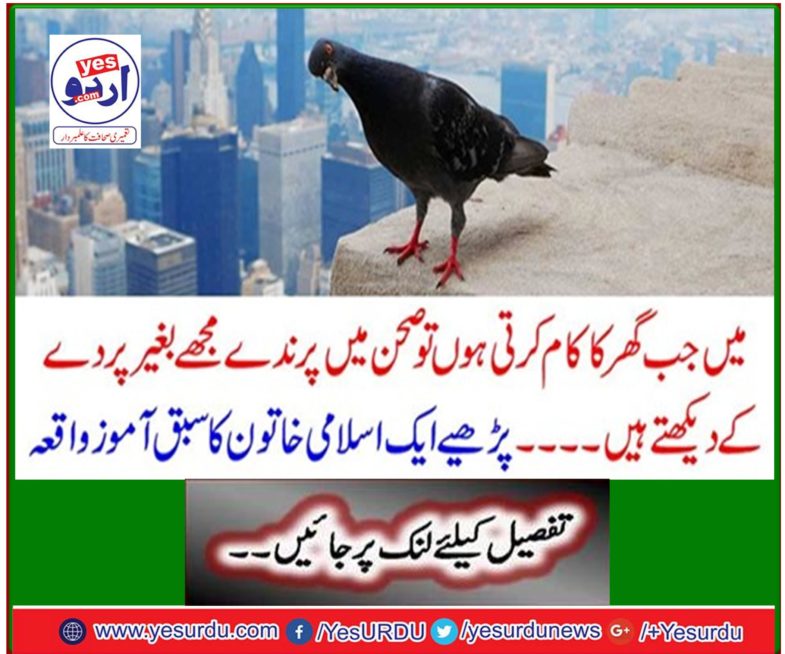 Read the lesson of an Islamic woman