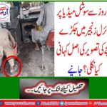 From 2 days, what happened to the real story of a baby pictured in a viral chain on social media? Learn