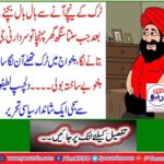 A superb political piece full of interesting jokes