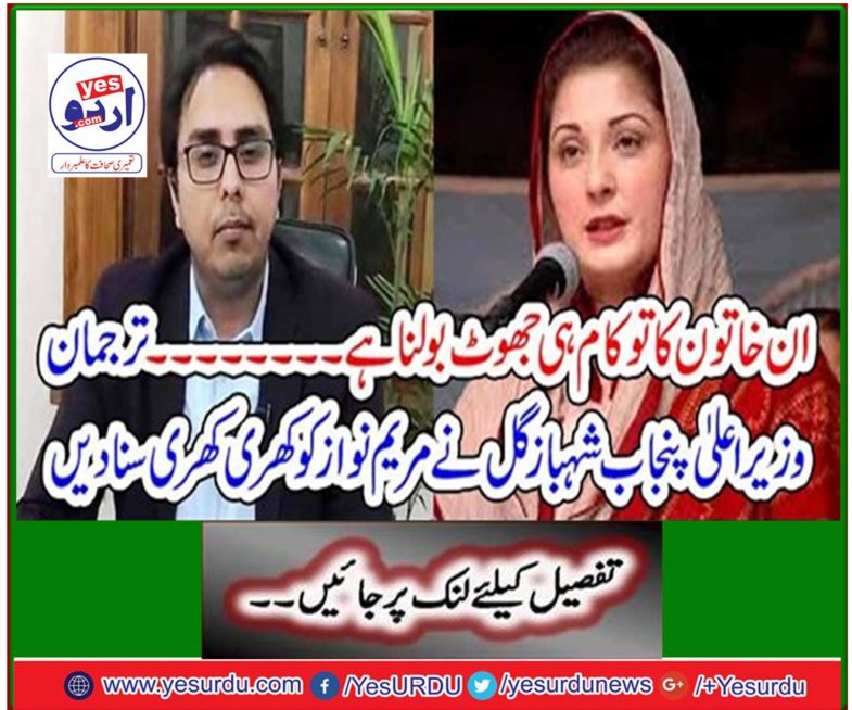 Spokesperson Punjab Chief Minister Shahbaz Gul heard Maryam Nawaz Khari Khari