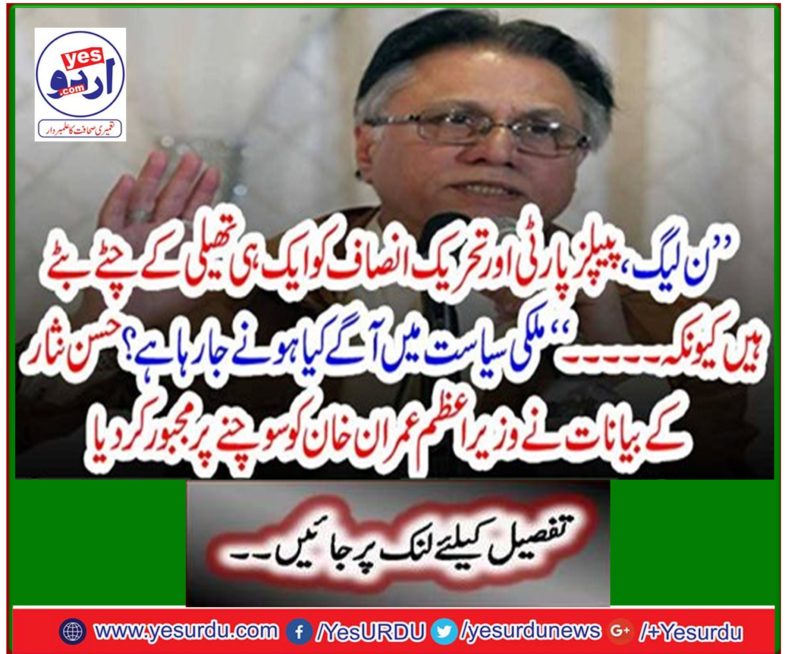 Hasan Nisar's statements forced Prime Minister Imran Khan to think