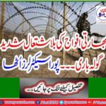 Indian forces unprecedented firing - the whole sector shakes