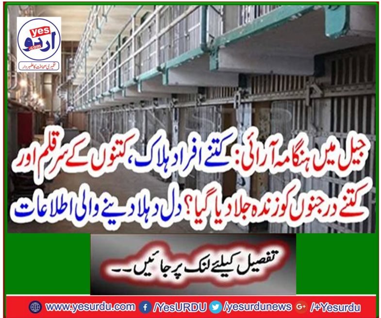 Riot in prison: How many people were killed, dogs were beheaded and dozens were burned alive? Heart-warming notifications