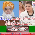 Maulana and Maryam's political union: What will be the result? The foremost journalist predicts