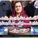 Maryam Aurangzeb stains an amazing statement