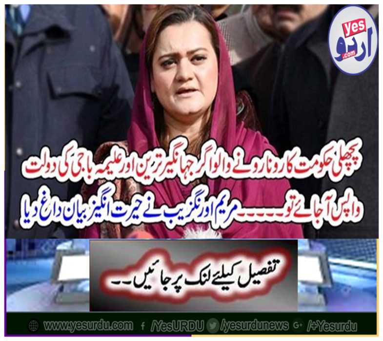 Maryam Aurangzeb stains an amazing statement
