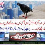 Read an Islamic woman's lesson