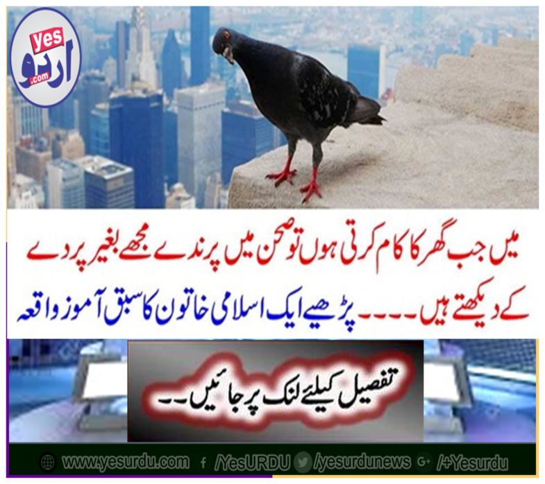 Read an Islamic woman's lesson