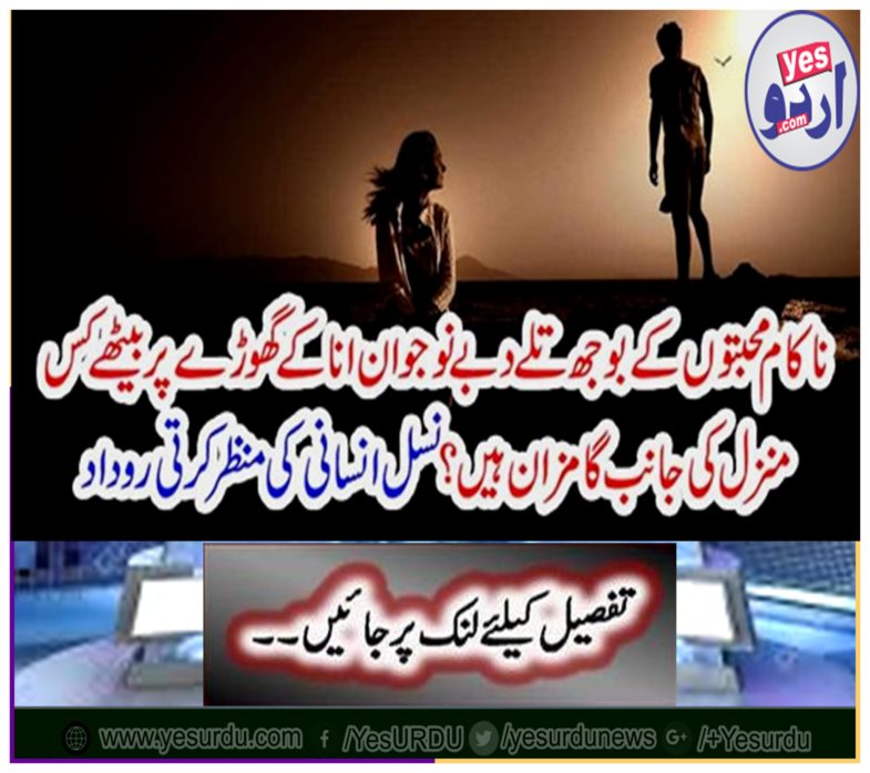 Under the burden of falsehood love, what are the goals of sitting on the young Anna's horse? Breeding human race