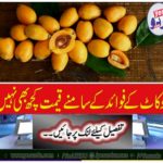 Lokkot: Nothing worth the benefits