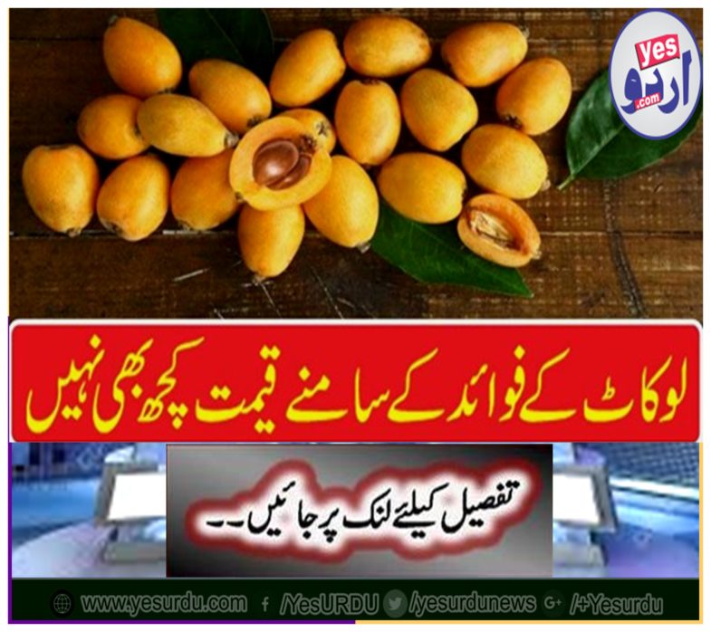 Lokkot: Nothing worth the benefits