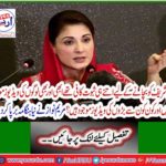 Maryam Nawaz stirred up a new uproar