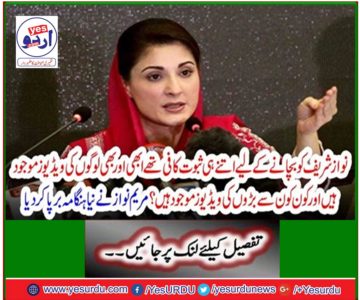 Maryam Nawaz stirred up a new uproar