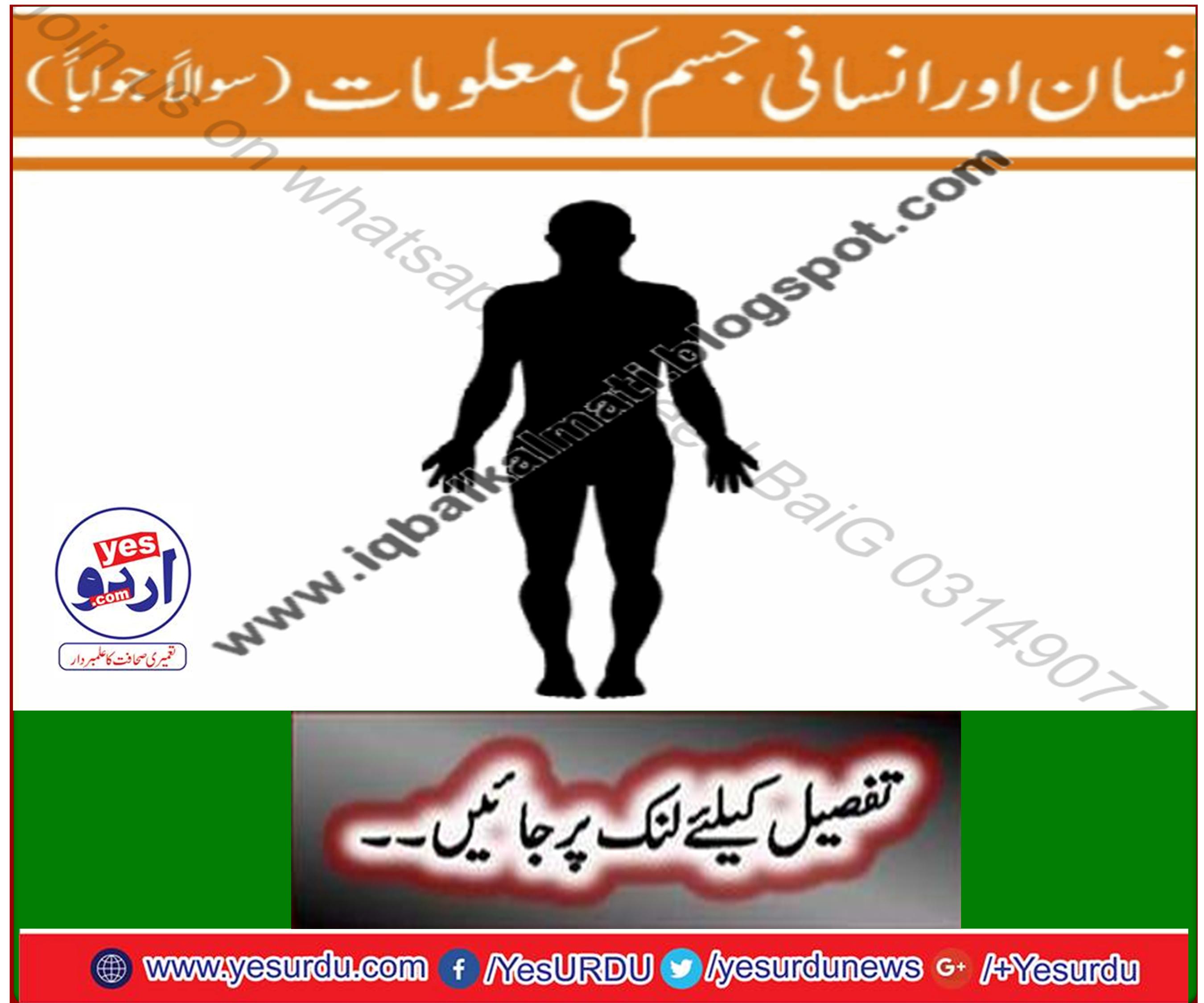 انسانی جسم کی معلومات