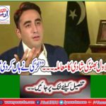 Bilawal Bhutto's marriage matter ... "The girl said yes"
