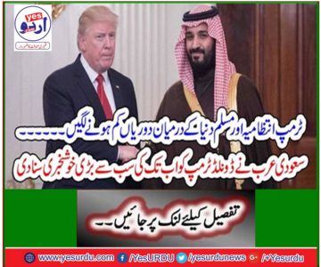 Saudi Arabia tells Donald Trump the greatest news ever
