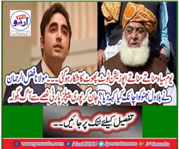 What did Maulana Fazlur Rehman say to Bilawal Bhutto? Knowingly the whole People's Party raged with anger