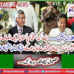 JKT in Action ... Imran Khan rejoices in the Pakistan Tehreek-e-Insaf as a member of the Assembly that celebrates at Bani Gala.