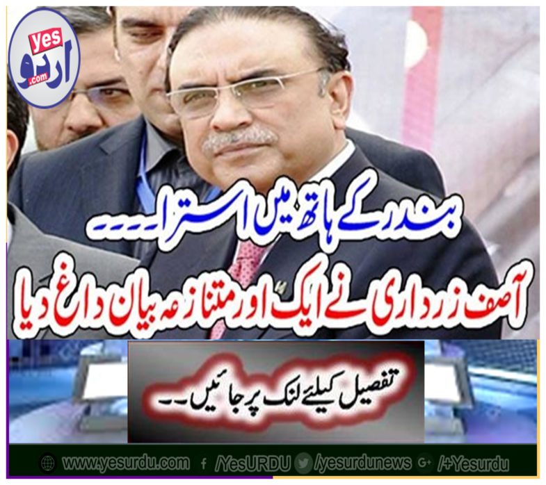 Asif Zardari condemned another controversial statement