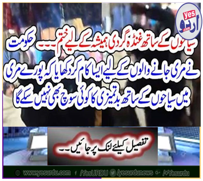 The bullying with the tourists end forever ...