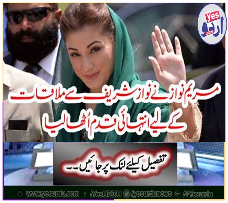 Mary Nawaz took a lot of steps to meet Nawaz Sharif