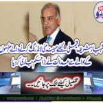 The court issued a verdict regarding the accused of alleged money laundering for Shahbaz Sharif family