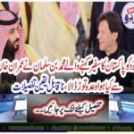 Mohammad bin Salman, who called himself a Pakistani ambassador, broke the promise made by Imran Khan, incredible details