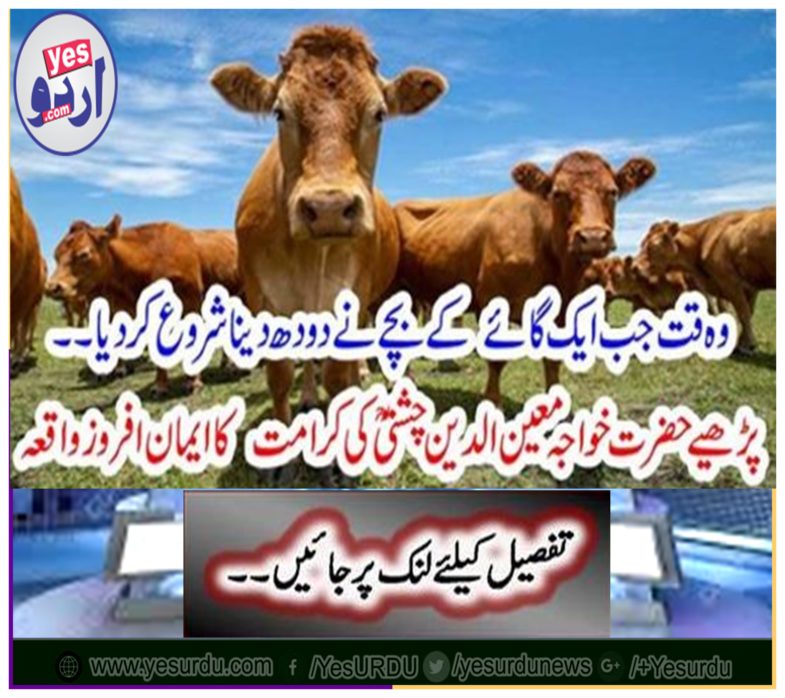 Read Hazrat Khawaja Mainenuddin Chishti's Karmaam's Faithful Afternoon event