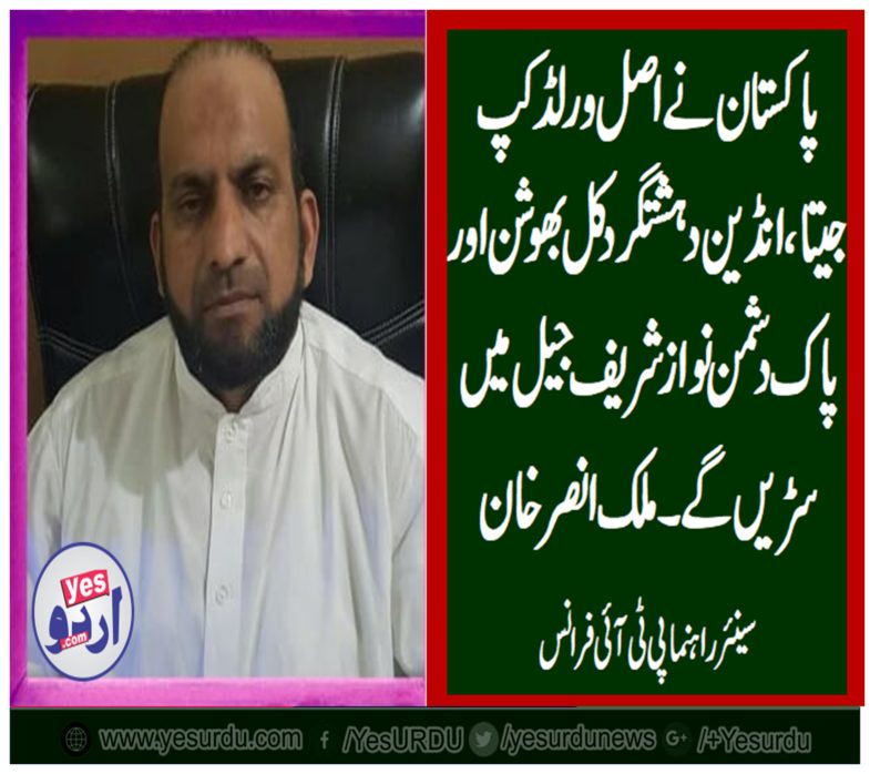 MALIK ANSAR KHAN, SENIOR, LEADER, PTI, FRANCE, SAYS, PAK , WON, THE, WROLD, CUP, BY, GETTING, GOOD, DECISION, OF, KULBHUSHAN JADAVE, IN, OUR FAVOR