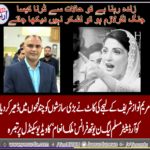 MALIK INAM, CHIEF, COORDINATOR, PMLN, YOUTH WING, FRANCE