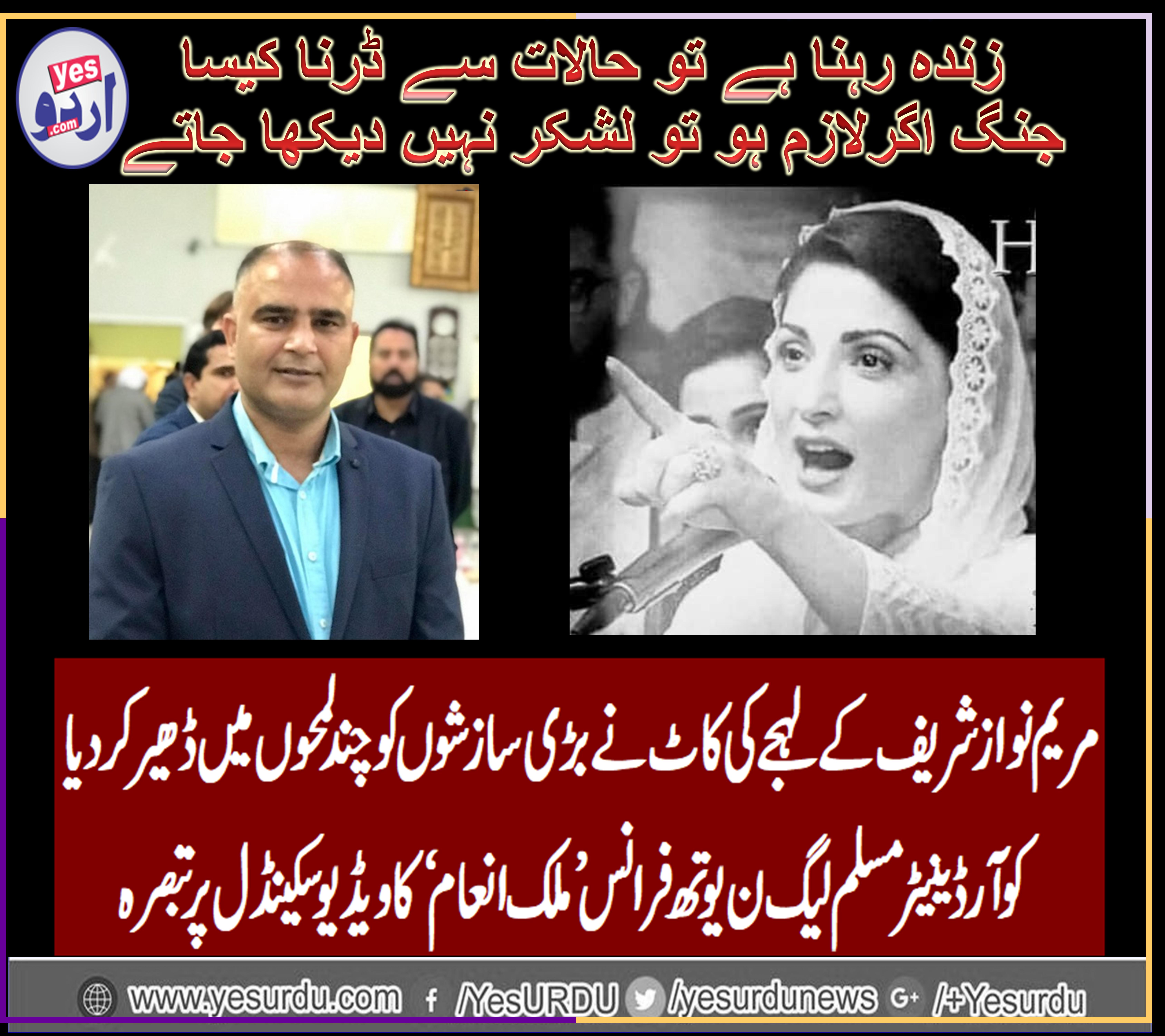 MALIK INAM, CHIEF, COORDINATOR, PMLN, YOUTH WING, FRANCE