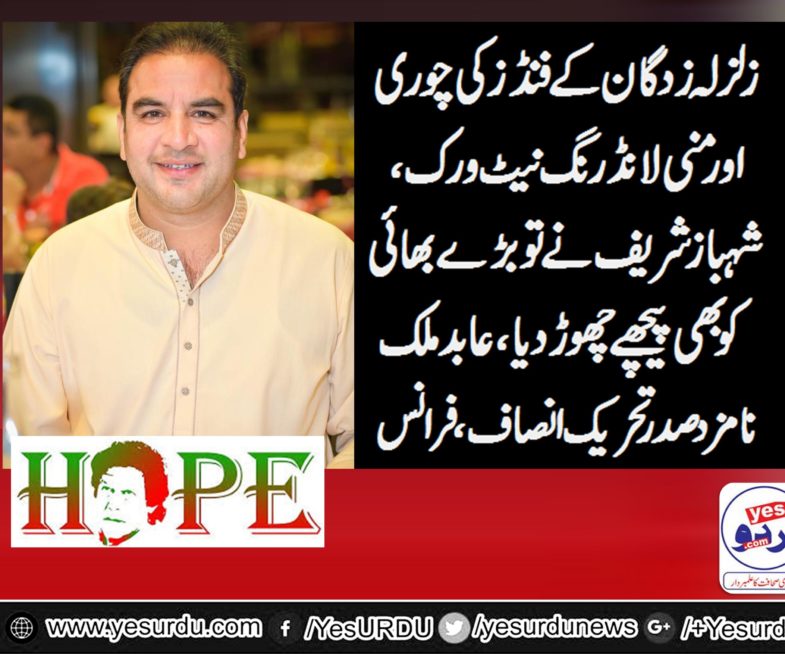 ABIDMALIK,AS, PRESIDENT, NOMINATED, FOR, PTI, FRANCE, SAYS, EARTHQUAKE, FUNDS, LOOTING, AND, MONEY LAUNDERING, IS, VERY, SERIOUS, CRIME, BY, SHEHBAZ SHARIEF