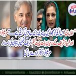 GROWING, TENSION, BETWEEN, MARYAM NAWAZ , AND, SHEHBAZ SHARIEF, ABOUT, POLITICS, SHARIEF, FAMILY, COMPLAINING, OF, MARYAM
