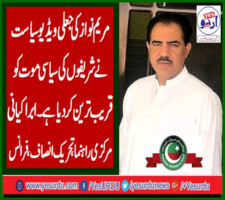 abrar kayani, senior, leader, pti, france, says, maryam nawaz's, fake, video, politics, digging, grave, for, sharif's