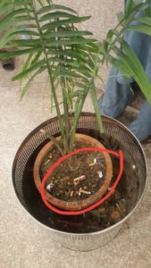 Unhygienic, and, Dirty, Condition, at, New Islamabad, International, Airport, is, Alarming, report, muddasir iqbal kazim