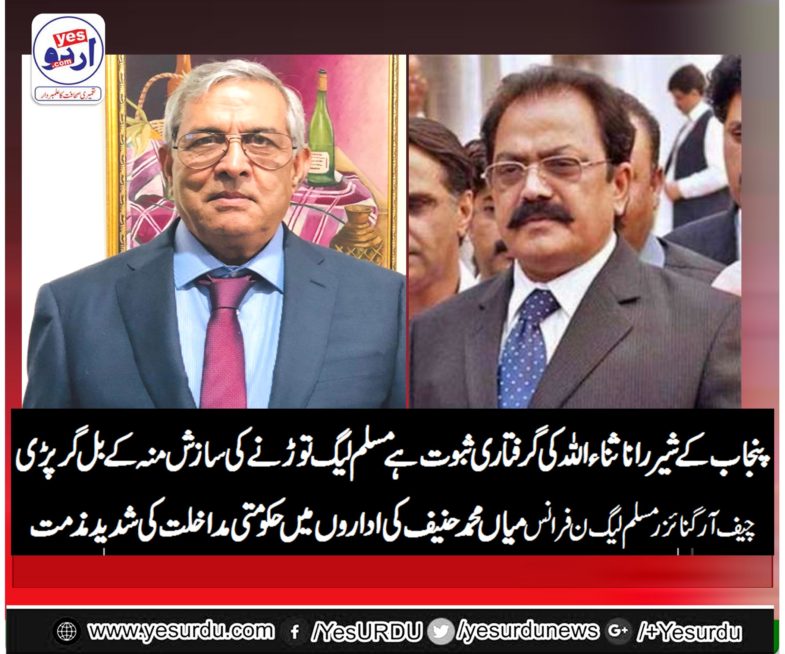 Mian Muhammad Hanif, Chief Organizer, PMLN, France, condemned, the, arrest, of, Rana Sanaullah