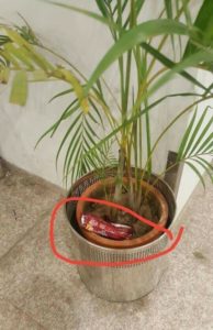 Unhygienic, and, Dirty, Condition, at, New Islamabad, International, Airport, is, Alarming, report, muddasir iqbal kazim