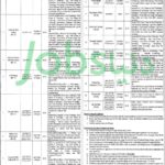 Punjab Food Authority Jobs 2019 for 239+ Posts (Download NTS Form)