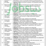 Benazir Income Support Programme (BISP) Jobs 2019 for 13+ Posts (Multiple Categories)